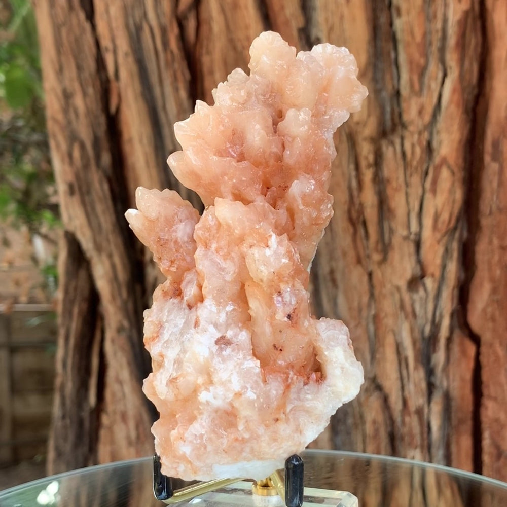 13cm 286g Pink White Aragonite Stalactite from Morocco