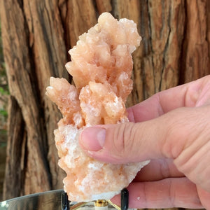 13cm 286g Pink White Aragonite Stalactite from Morocco