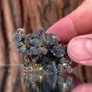 4.5cm 24g Azurite from Bou Bekker, Morocco