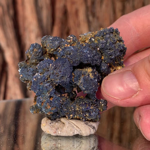 5.5cm 50g Azurite from Bou Bekker, Morocco