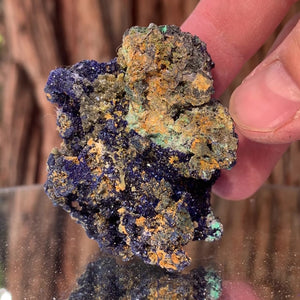 5.3cm 66g Azurite from Bou Bekker, Morocco