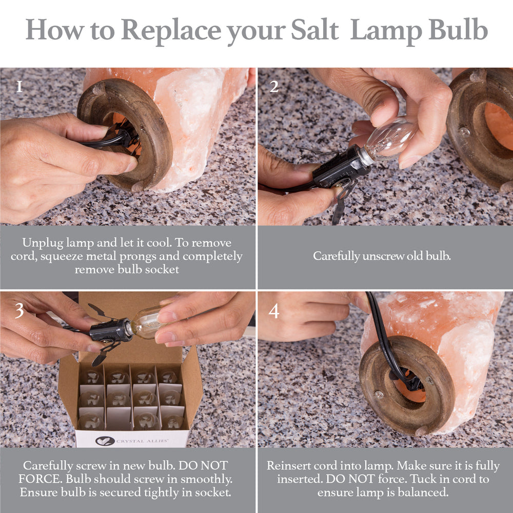 12-Pack Incandescent Salt Lamp Light Bulbs - 25 Watt