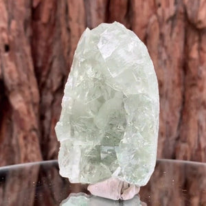 7.5cm 190g Clear Green Fluorite, Xianghualing Mine, Hunan, China