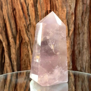 11.5cm 495g Polished Amethyst Point from Brazil