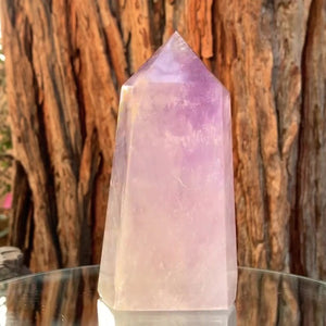 13.5cm 815g Polished Amethyst Point from Brazil