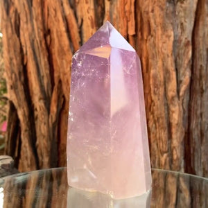 13.5cm 815g Polished Amethyst Point from Brazil