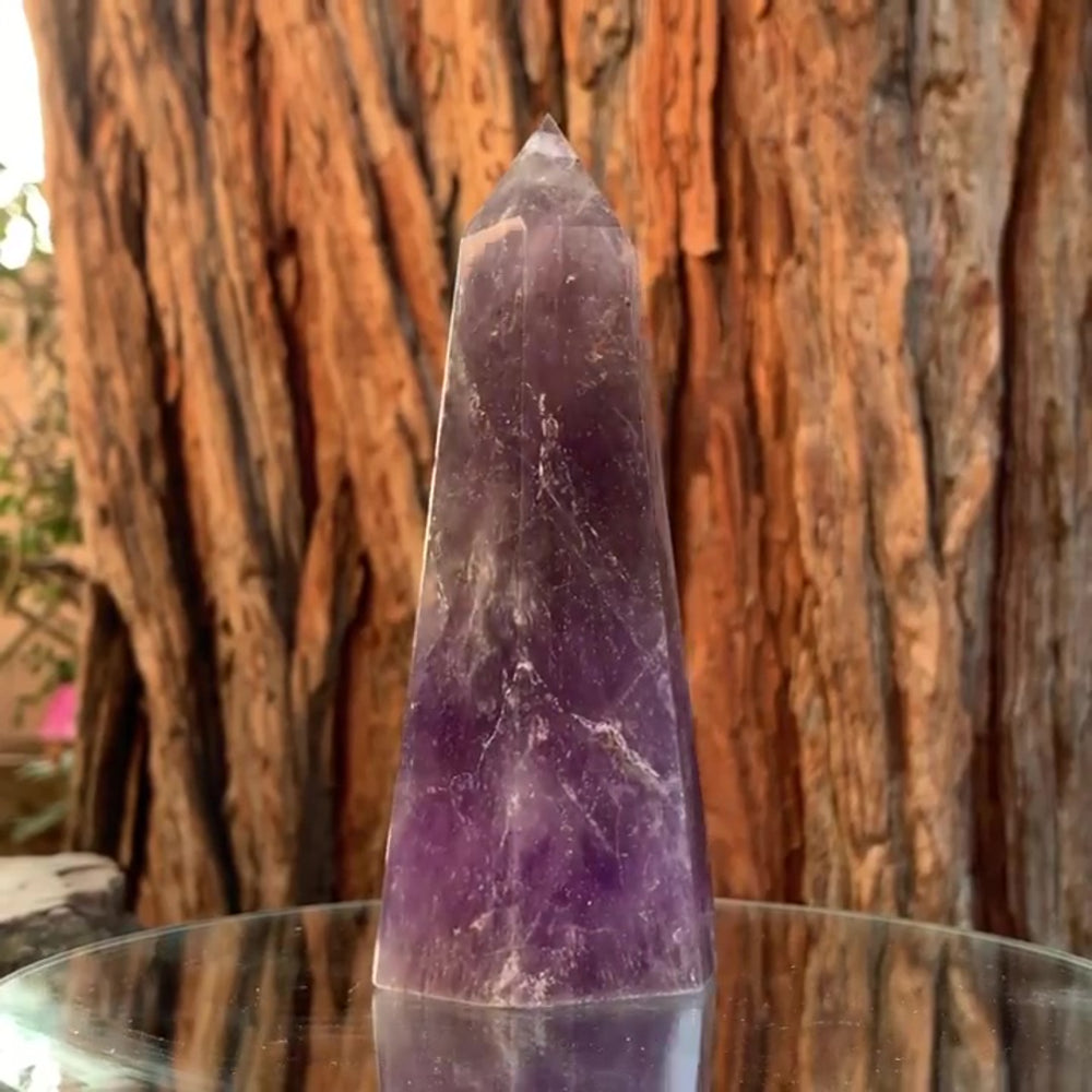15.5cm 585g Polished Amethyst Point from Brazil