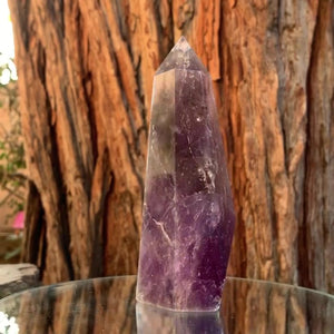 15.5cm 585g Polished Amethyst Point from Brazil