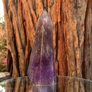 15.5cm 585g Polished Amethyst Point from Brazil
