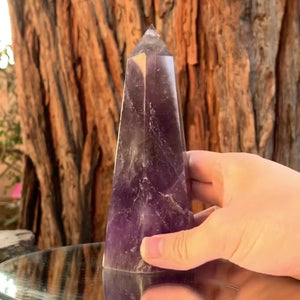 15.5cm 585g Polished Amethyst Point from Brazil