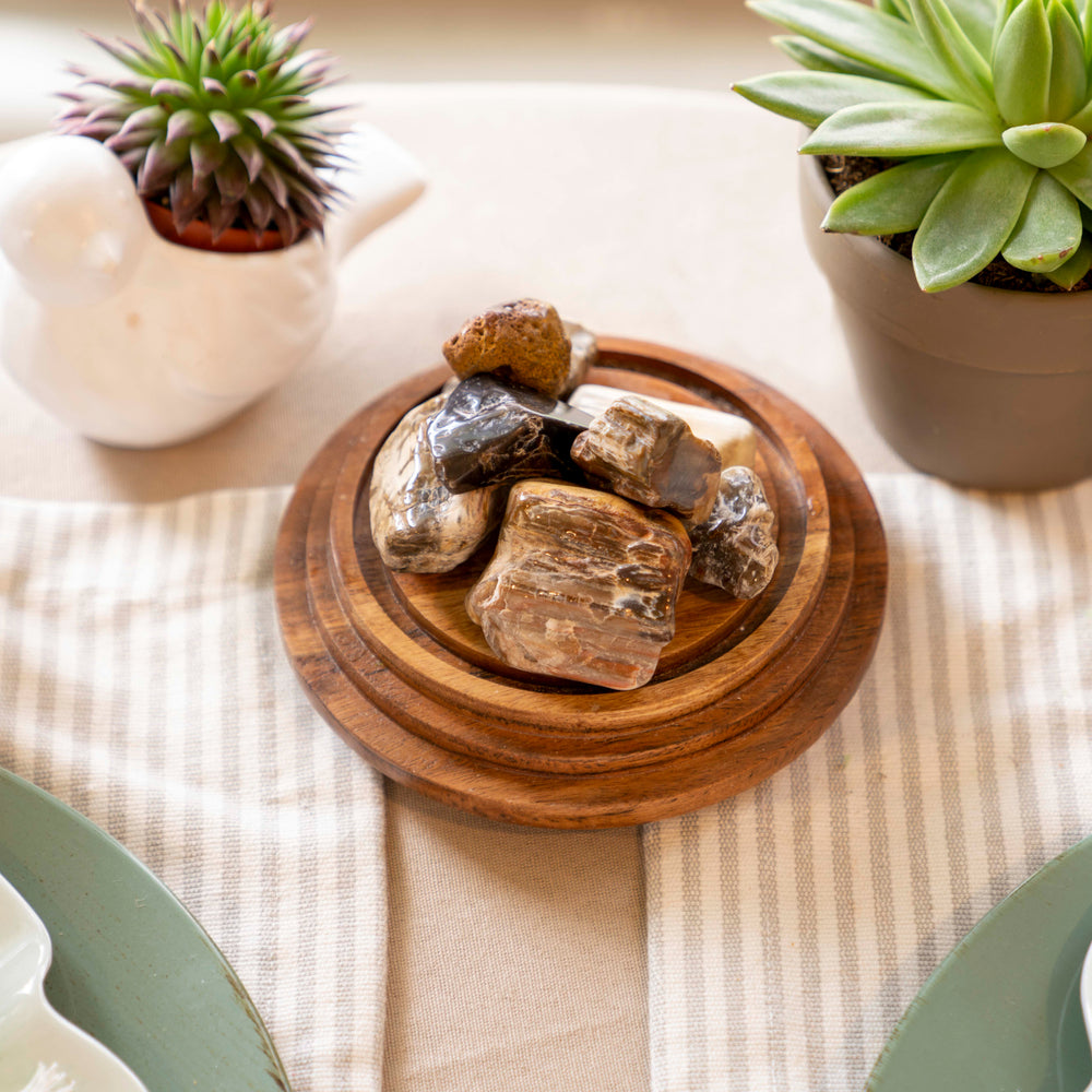 Half Tumbled Petrified Wood from Madagascar, Large 1"