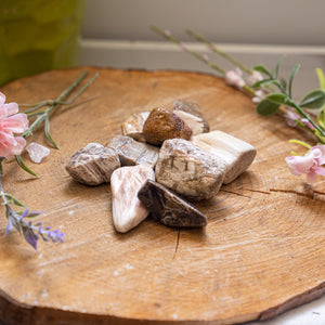 Half Tumbled Petrified Wood from Madagascar, Large 1"