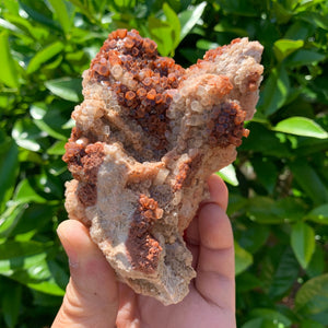 11.5cm 360g Aragonite from Morocco