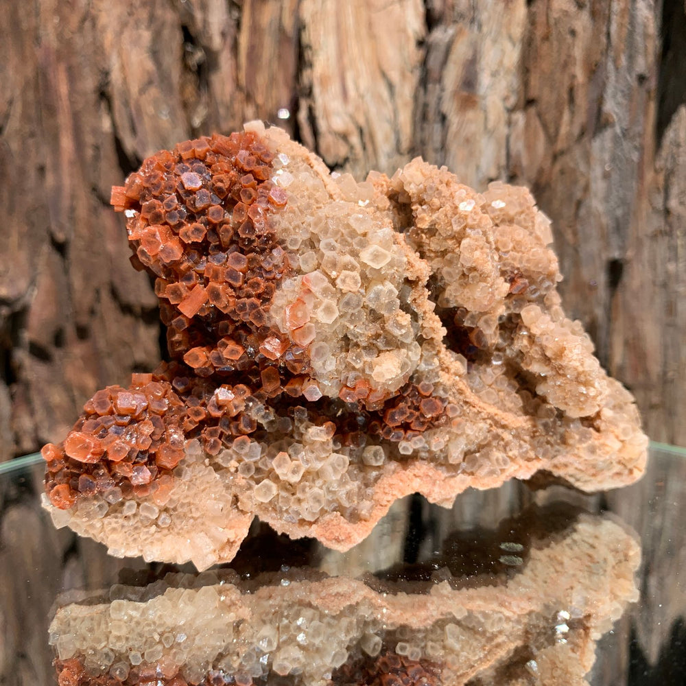 11.5cm 360g Aragonite from Morocco