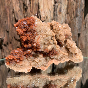 11.5cm 360g Aragonite from Morocco