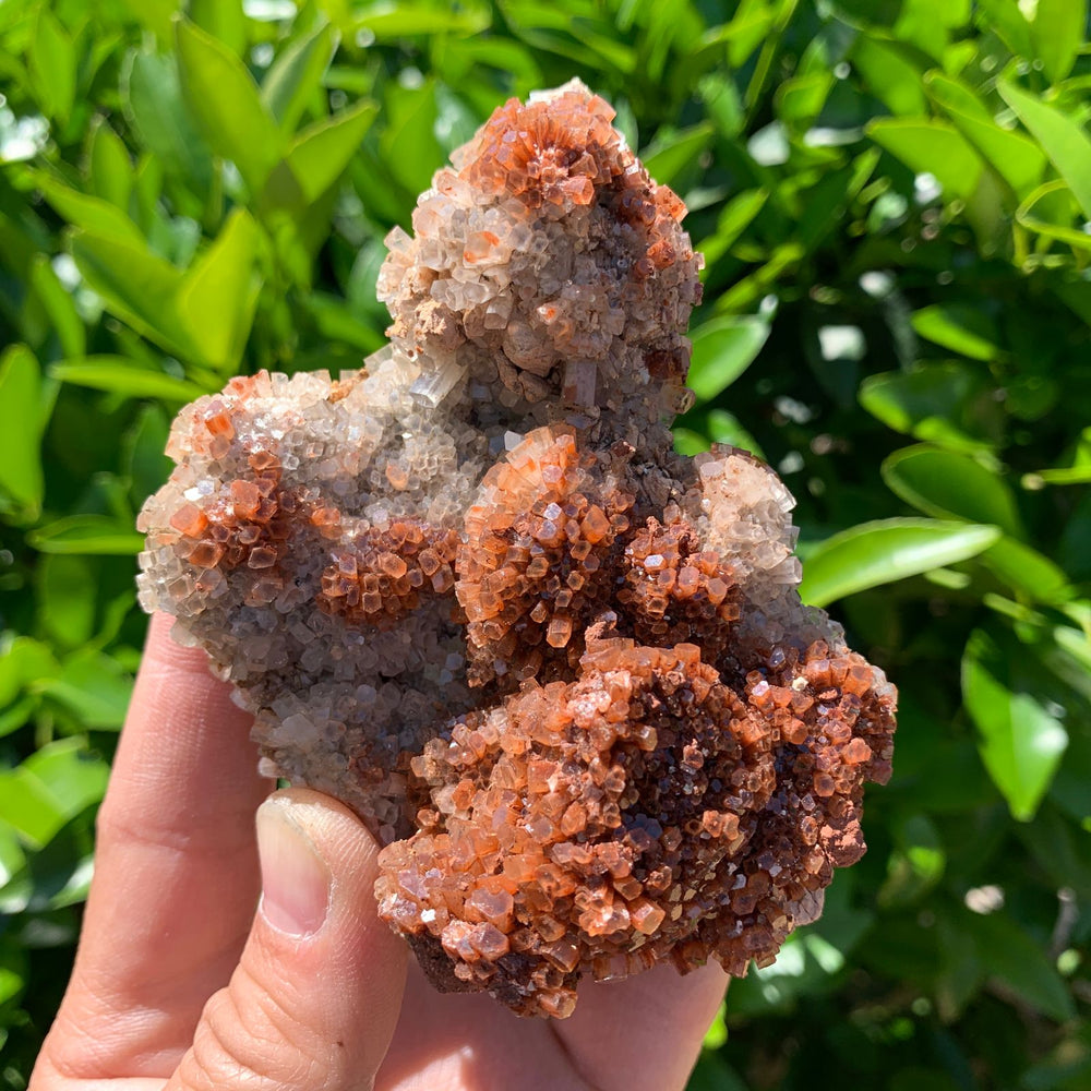 10.5cm 370g Aragonite from Morocco