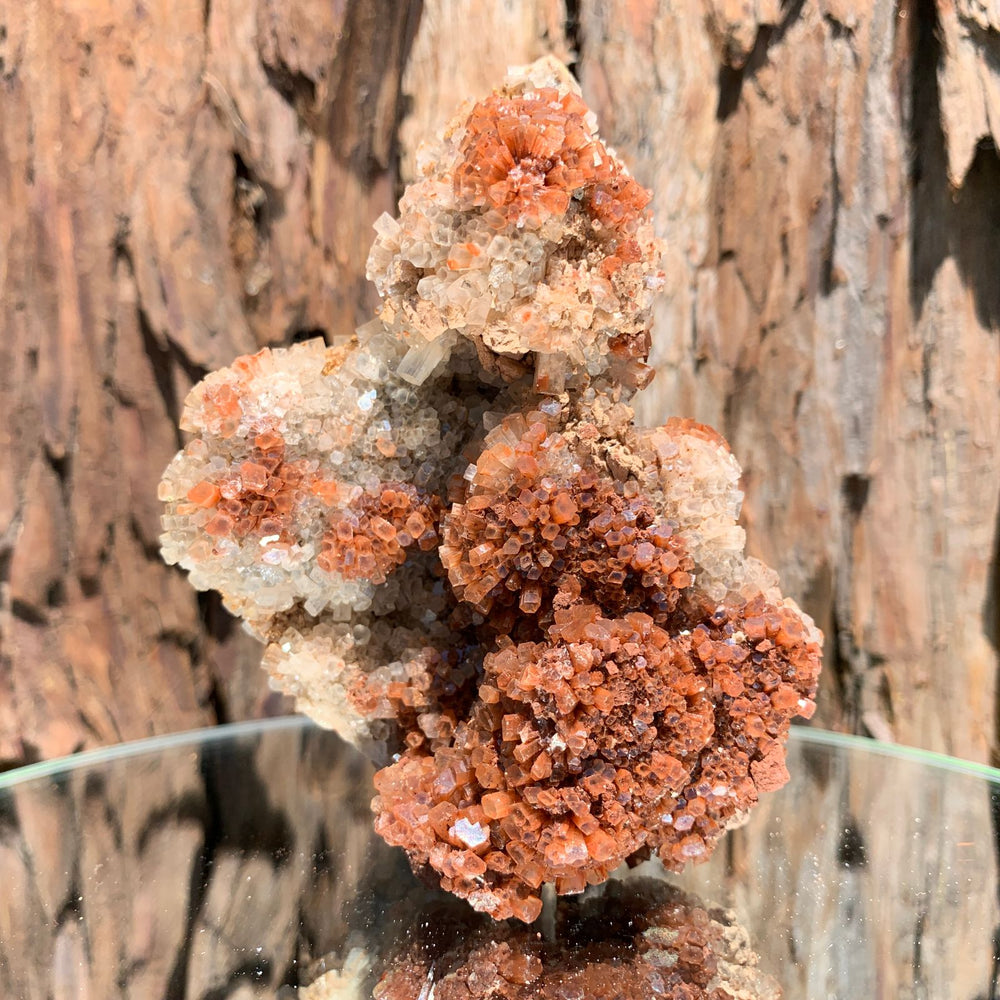 10.5cm 370g Aragonite from Morocco