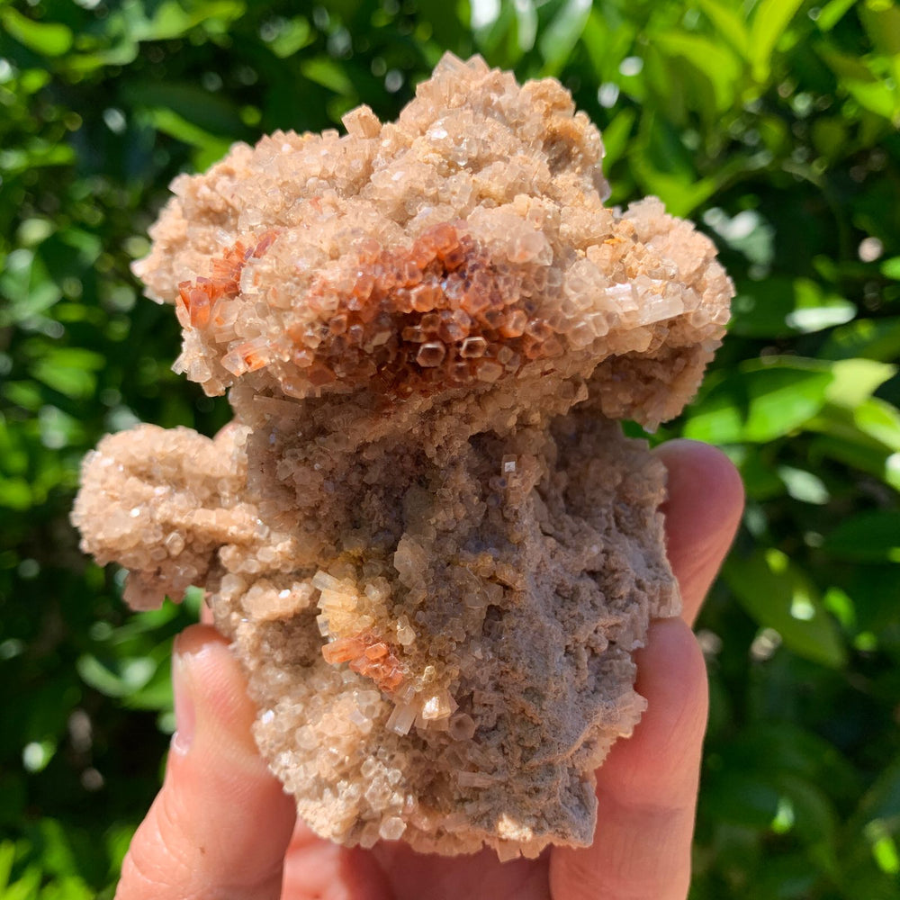9.7cm 342g Aragonite from Morocco