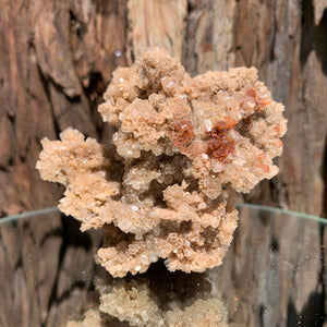 9.7cm 342g Aragonite from Morocco