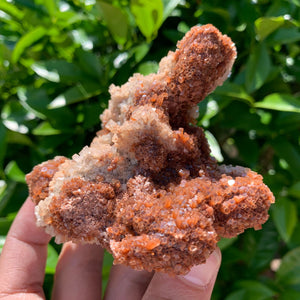10cm 335g Aragonite from Morocco