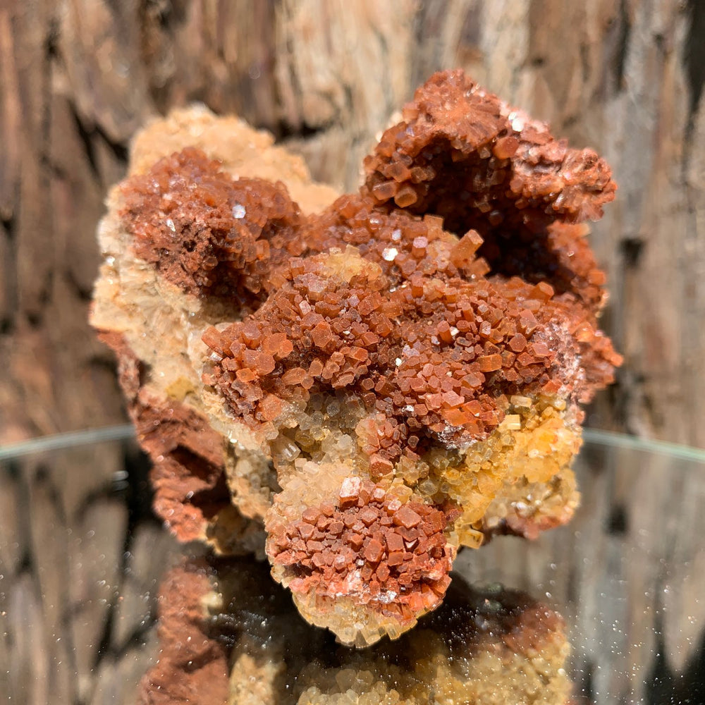 
            
                Load image into Gallery viewer, 9.5cm 330g Aragonite from Morocco
            
        