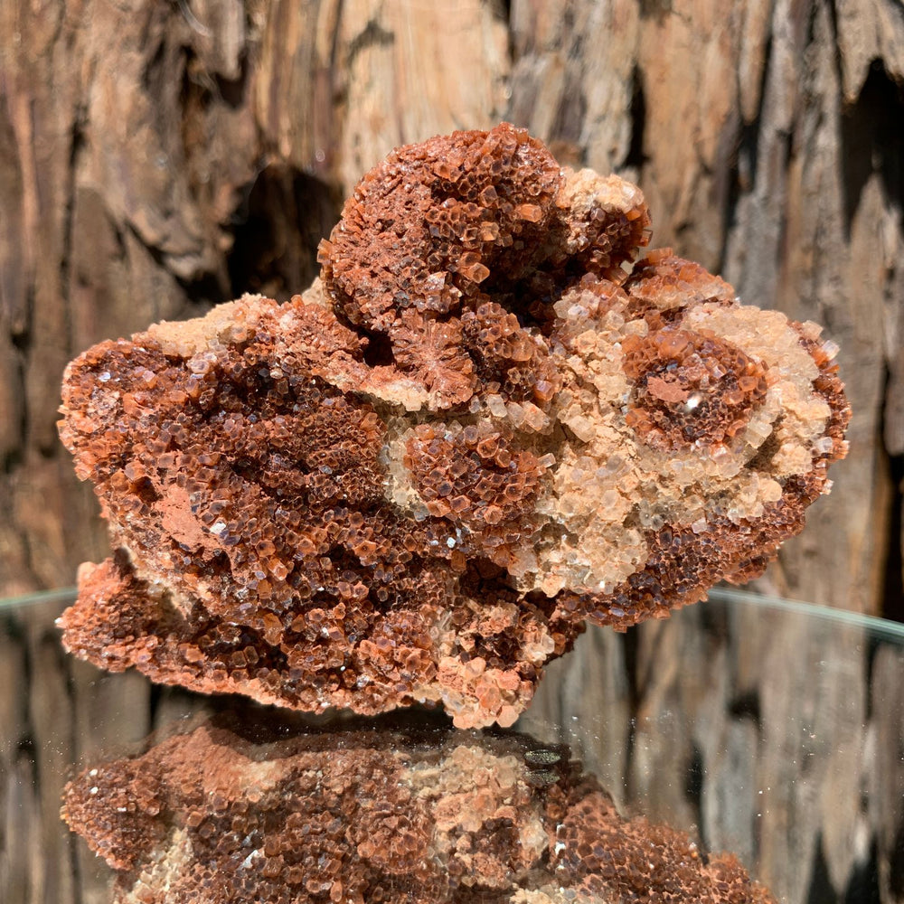 10.5cm 314g Aragonite from Morocco