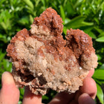 11.8cm 328g Aragonite from Morocco
