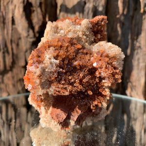 
            
                Load image into Gallery viewer, 8.4cm 314g Aragonite from Morocco
            
        