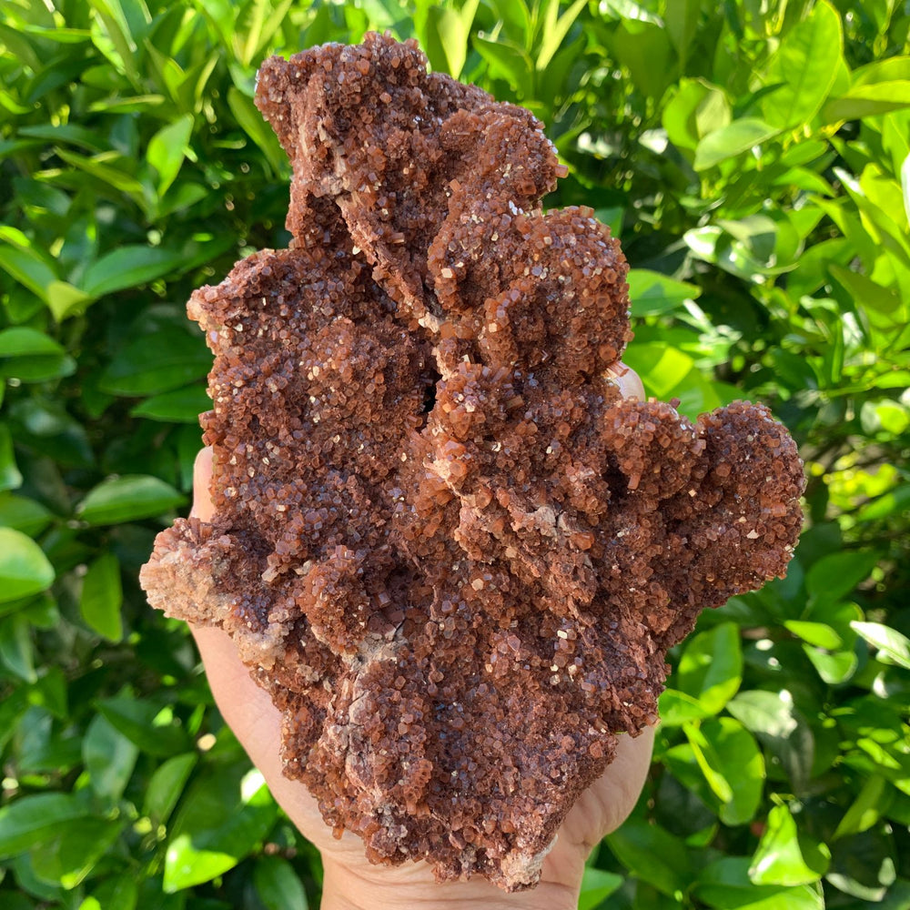 18cm 890g Aragonite from Morocco