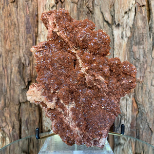 
            
                Load image into Gallery viewer, 18cm 890g Aragonite from Morocco
            
        