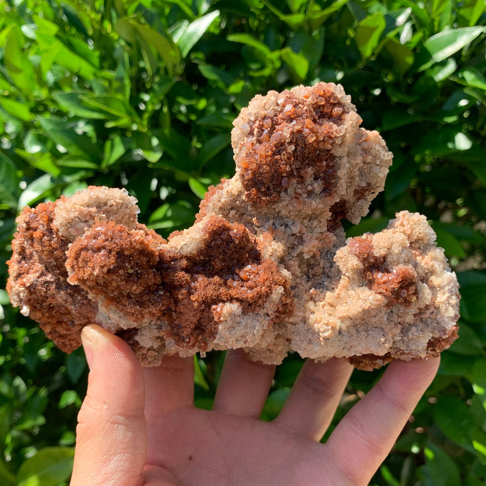 15cm 786g Aragonite from Morocco
