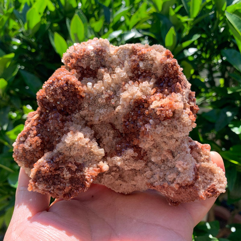 13cm 578g Aragonite from Morocco