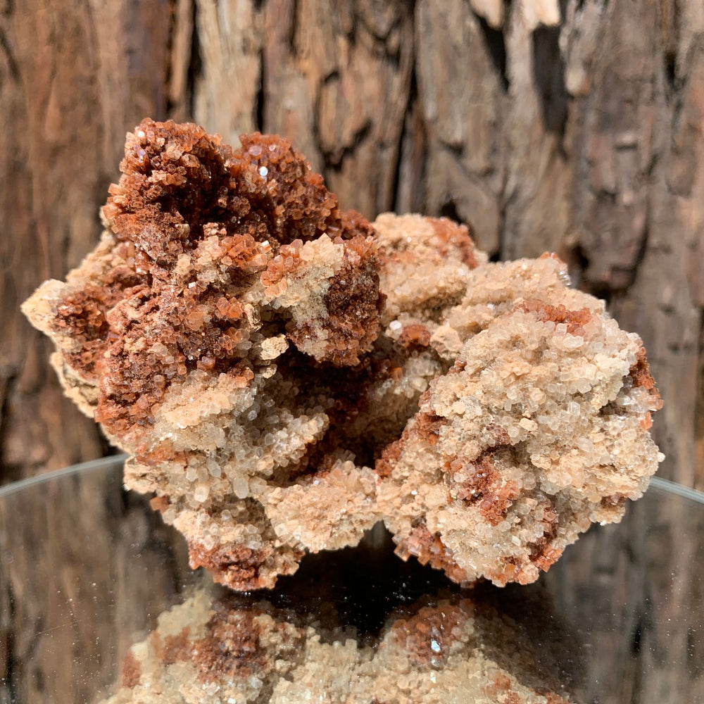 
            
                Load image into Gallery viewer, 11.5cm 620g Aragonite from Morocco
            
        