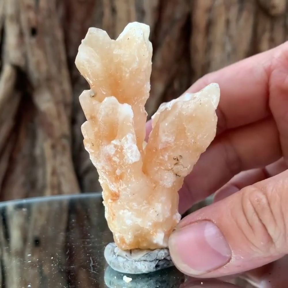 13cm 910g Aragonite Cave Calcite from Morocco