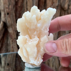 13cm 870g Aragonite Cave Calcite from Morocco