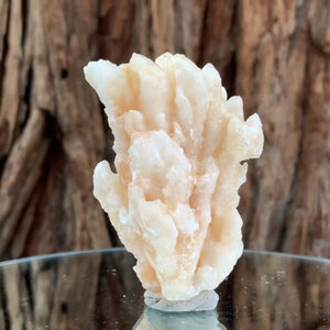13cm 870g Aragonite Cave Calcite from Morocco