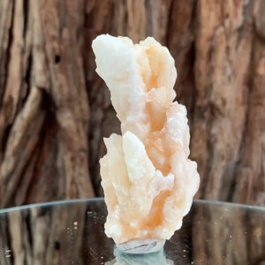13cm 870g Aragonite Cave Calcite from Morocco