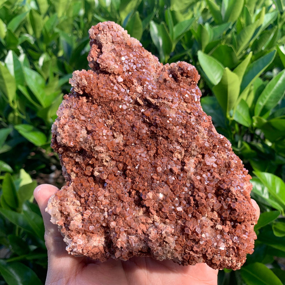 15.5cm 778g Aragonite from Morocco