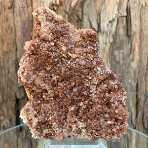 15.5cm 778g Aragonite from Morocco
