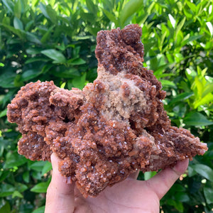 
            
                Load image into Gallery viewer, 18cm 1.1kg Aragonite from Morocco
            
        