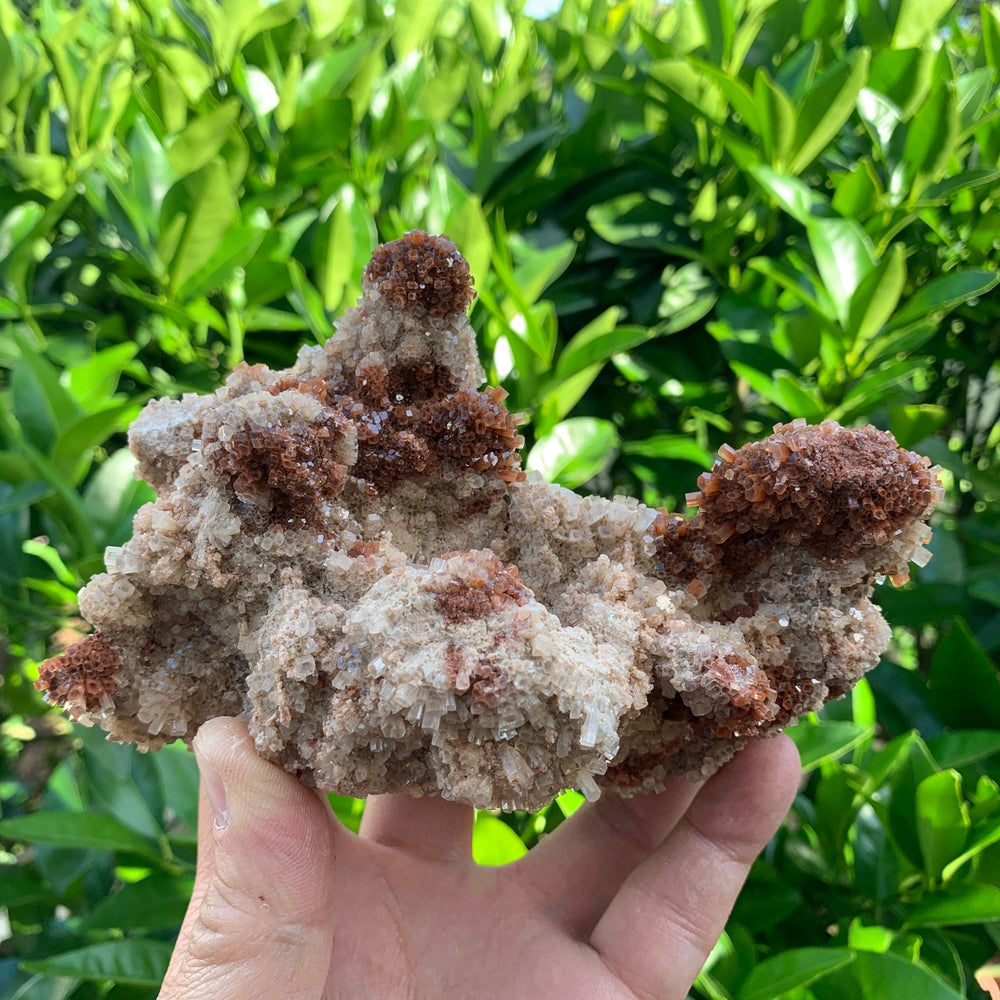 14cm 670g Aragonite from Morocco