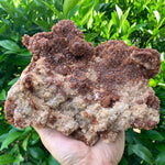 19cm 1.23kg Aragonite from Morocco
