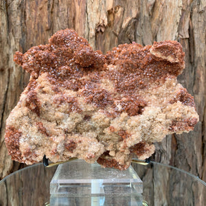19cm 1.23kg Aragonite from Morocco
