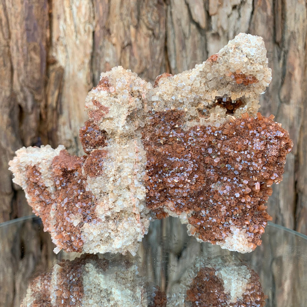 13.5cm 496g Aragonite from Morocco