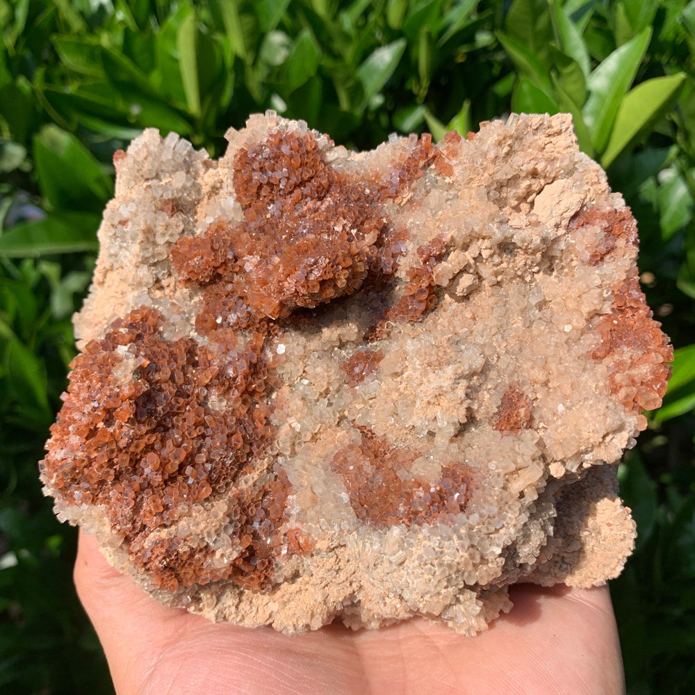 13cm 986g Aragonite from Morocco