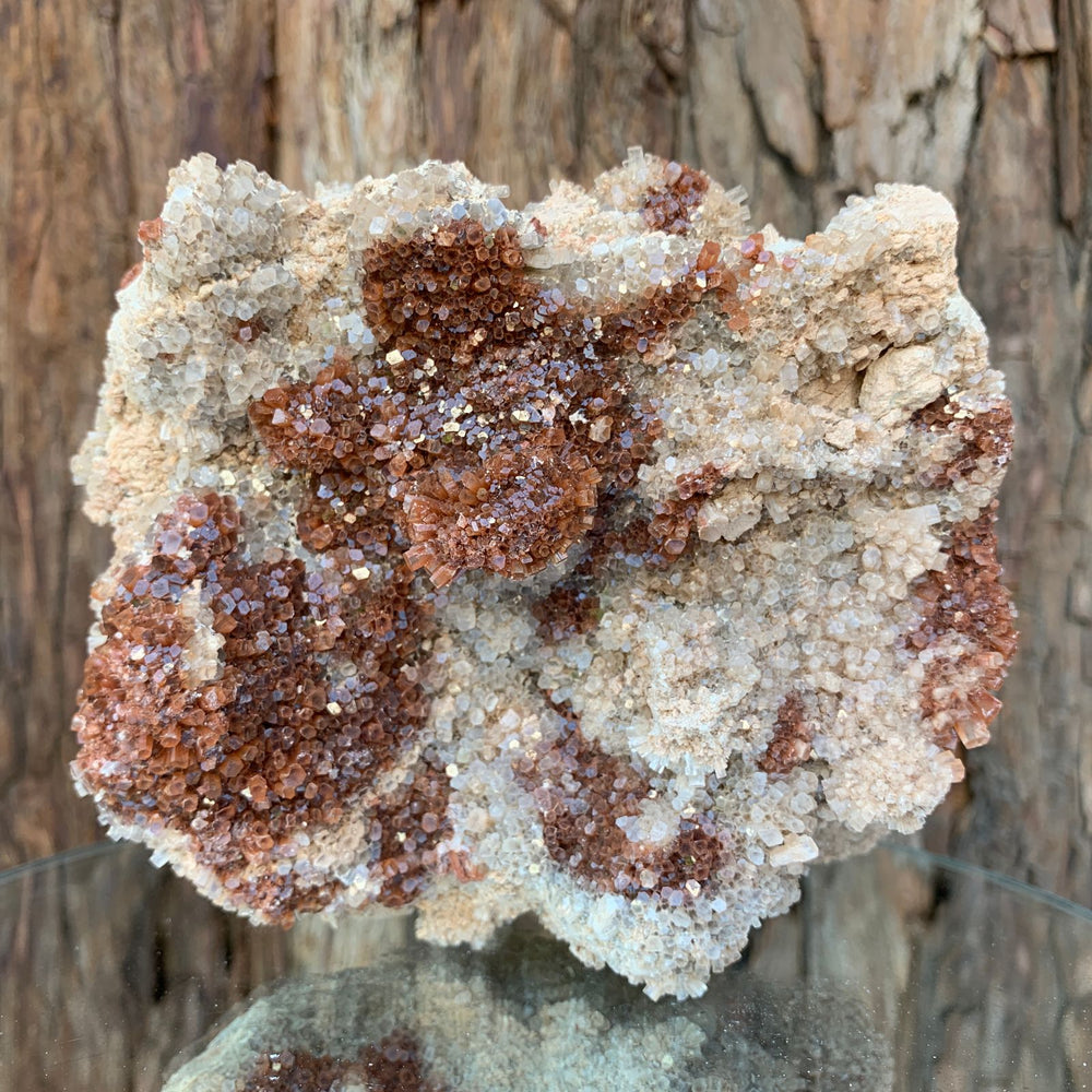 13cm 986g Aragonite from Morocco