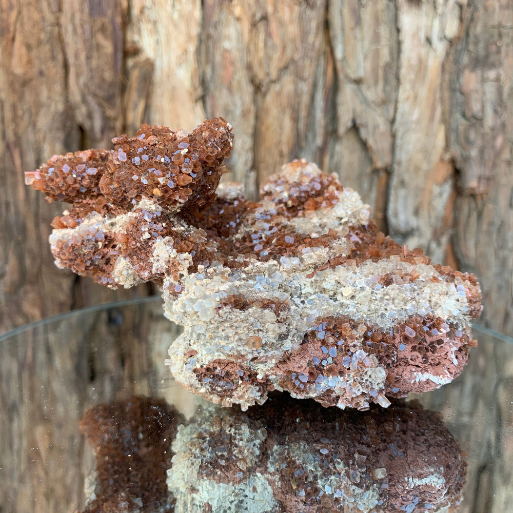 13.5cm 732g Aragonite from Morocco