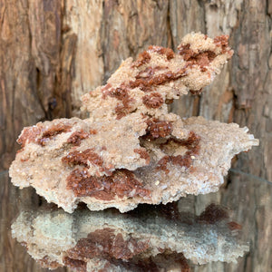 15.5cm 780g Aragonite from Morocco
