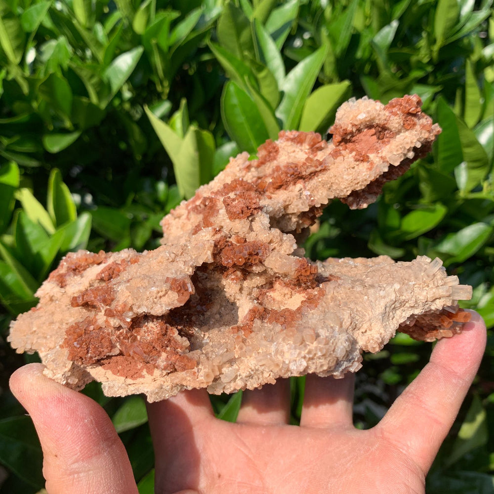 15.5cm 780g Aragonite from Morocco