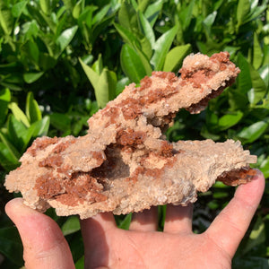 15.5cm 780g Aragonite from Morocco